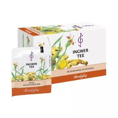 INGWER TEE Filterpose, 20X2 g