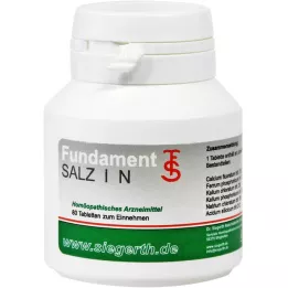 FUNDAMENT-Salt I N-tabletter, 4X80 stk