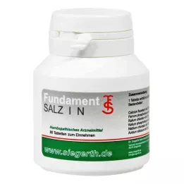 FUNDAMENT-Salt I N-tabletter, 4X80 stk