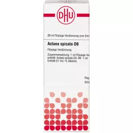 ACTAEA SPICATA D 6 fortynding, 20 ml