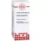 ACTAEA SPICATA D 6 fortynding, 20 ml