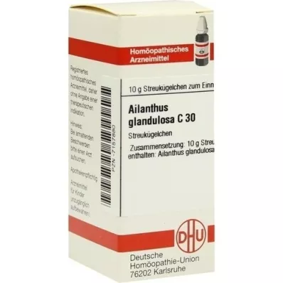 AILANTHUS GLANDULOSA C 30 kugler, 10 g