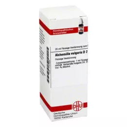 ALCHEMILLA VULGARIS D 2 fortynding, 20 ml