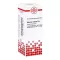 Asterias Rubens D6 Fortynding (20 ml)