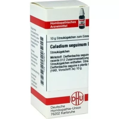 CALADIUM seguinum D 12 kugler, 10 g