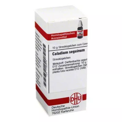 DHU Caladium seguinum D 12 kugler, 10 g