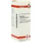 CAUSTICUM HAHNEMANNI C 30 fortynding, 20 ml