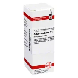 CISTUS CANADENSIS D 12 fortynding, 20 ml