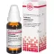 COLLINSONIA CANADENSIS D 12 fortynding, 20 ml