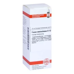 FUCUS VESICULOSUS D 12 fortynding, 20 ml