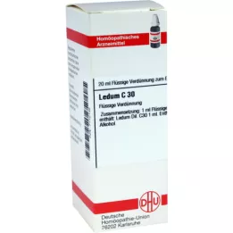 LEDUM C 30 fortynding, 20 ml