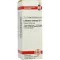 LEONURUS CARDIACA D 4 fortynding, 20 ml