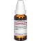 LEONURUS CARDIACA D 4 fortynding, 20 ml