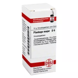 PLANTAGO MAJOR D 6 kugler, 10 g