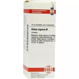 RIBES NIGRUM Modertinktur, 20 ml