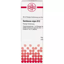 SAMBUCUS NIGRA D 12 fortynding, 20 ml