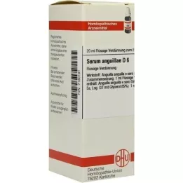 SERUM ANGUILLAE D 6 fortynding, 20 ml