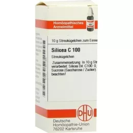 SILICEA C 100 kugler, 10 g