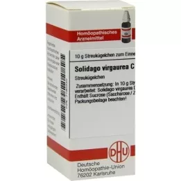 SOLIDAGO VIRGAUREA C 30 kugler, 10 g