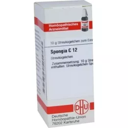 SPONGIA C 12 kugler, 10 g