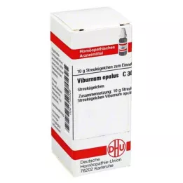 VIBURNUM OPULUS C 30 kugler, 10 g