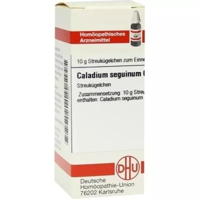 CALADIUM seguinum C 6 kugler, 10 g
