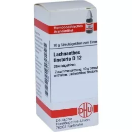 LACHNANTHES tinctoria D 12 kugler, 10 g