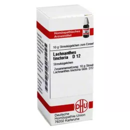 LACHNANTHES tinctoria D 12 kugler, 10 g
