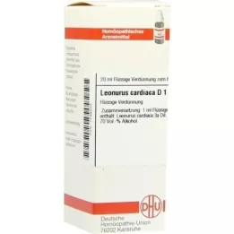 LEONURUS CARDIACA D 1 fortynding, 20 ml