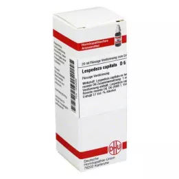 LESPEDEZA CAPITATA D 6 fortynding, 20 ml