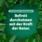 BRONCHOFORTON Salve, 100 g