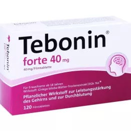 TEBONIN forte 40 mg filmovertrukne tabletter, 120 stk