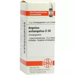 ANGELICA ARCHANGELICA D 30 kugler, 10 g
