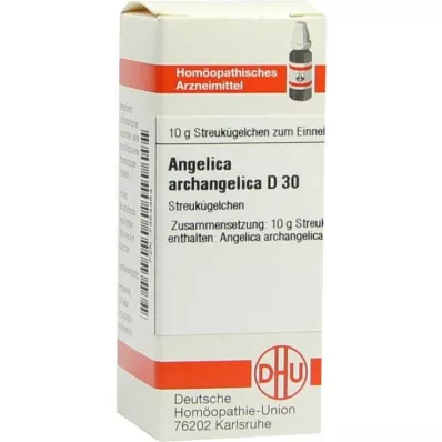 ANGELICA ARCHANGELICA D 30 kugler, 10 g