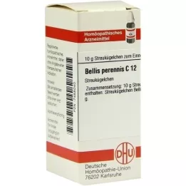 BELLIS PERENNIS C 12 kugler, 10 g