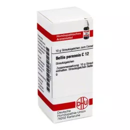 BELLIS PERENNIS C 12 kugler, 10 g