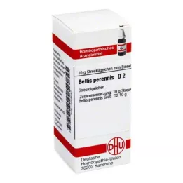 BELLIS PERENNIS D 2 kugler, 10 g