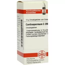 CARDIOSPERMUM C 200 kugler, 10 g