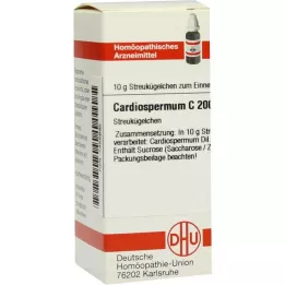 CARDIOSPERMUM C 200 kugler, 10 g