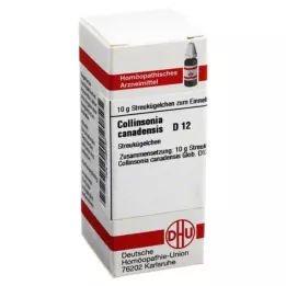 COLLINSONIA CANADENSIS D 12 kugler, 10 g