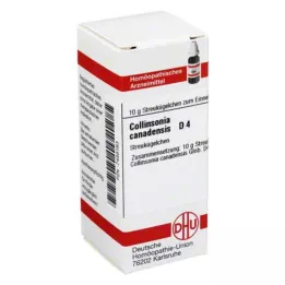 COLLINSONIA CANADENSIS D 4 kugler, 10 g