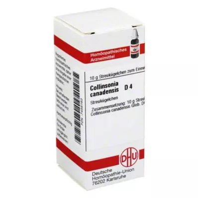 COLLINSONIA CANADENSIS D 4 kugler, 10 g