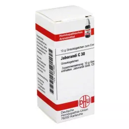 JABORANDI C 30 kugler, 10 g