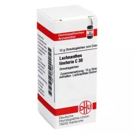 LACHNANTHES tinctoria C 30 kugler, 10 g
