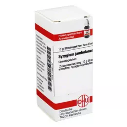 SYZYGIUM JAMBOLANUM D 6 kugler, 10 g