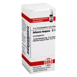 ADLUMIA fungosa D 12 kugler, 10 g