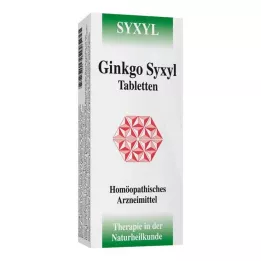 GINKGO SYXYL Tabletter, 120 stk