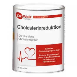CHOLESTERINREDUKTION Dr.Wolz pulver, 224 g