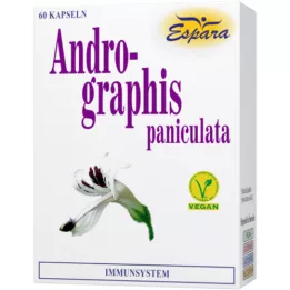 ANDROGRAPHIS paniculata kapsler, 60 stk