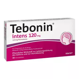 TEBONIN intens 120 mg filmovertrukne tabletter, 30 stk